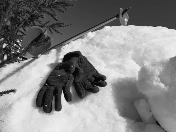 Gants, skis et bâtons de ski dans la neige sous l'arbre en hiver ou au printemps — Photo