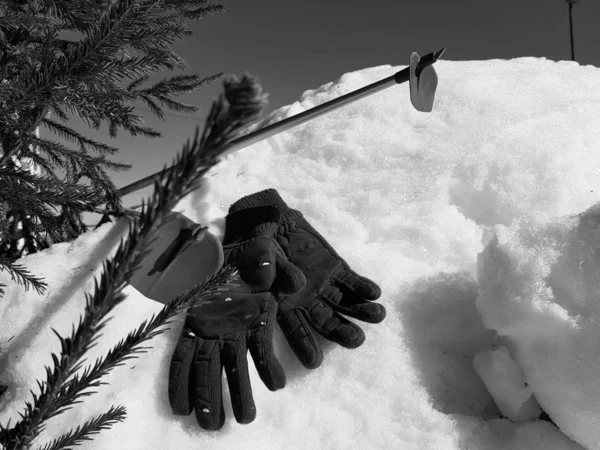 Guantes de esquí, esquís y bastones de esquí en la nieve bajo el árbol en invierno o primavera Imagen de archivo