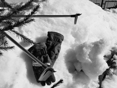 Kış veya ilkbahar aylarında ağacın altında karla kaplı Kayak eldivenleri, kayaklar ve kayak direkleri