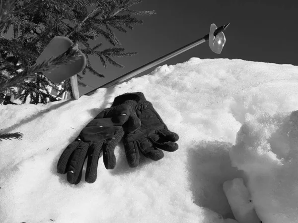 Gants, skis et bâtons de ski dans la neige sous l'arbre en hiver ou au printemps — Photo