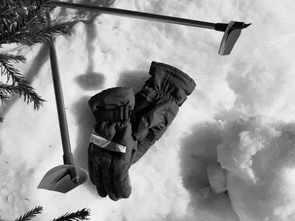 Kış veya ilkbahar aylarında ağacın altında karla kaplı Kayak eldivenleri, kayaklar ve kayak direkleri