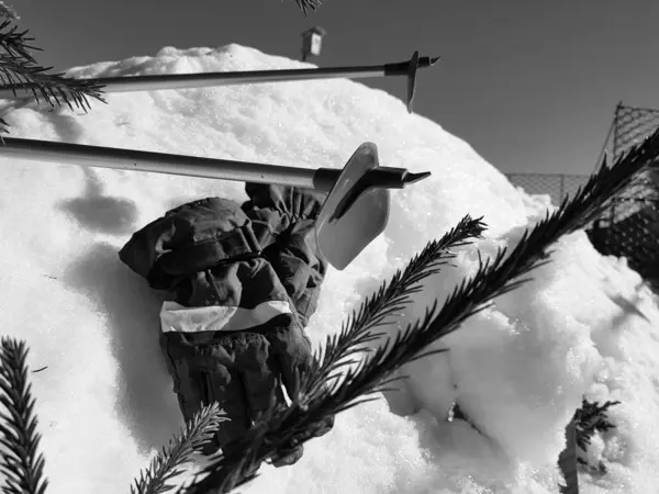 Γάντια του σκι, σκι και πόλους σκι στο χιόνι κάτω από το δέντρο το χειμώνα ή την άνοιξη — Φωτογραφία Αρχείου