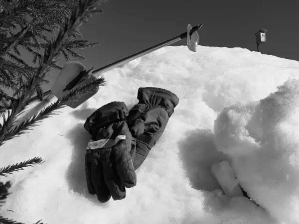 Γάντια του σκι, σκι και πόλους σκι στο χιόνι κάτω από το δέντρο το χειμώνα ή την άνοιξη — Φωτογραφία Αρχείου