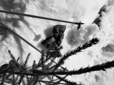 Kış veya ilkbahar aylarında ağacın altında karla kaplı Kayak eldivenleri, kayaklar ve kayak direkleri
