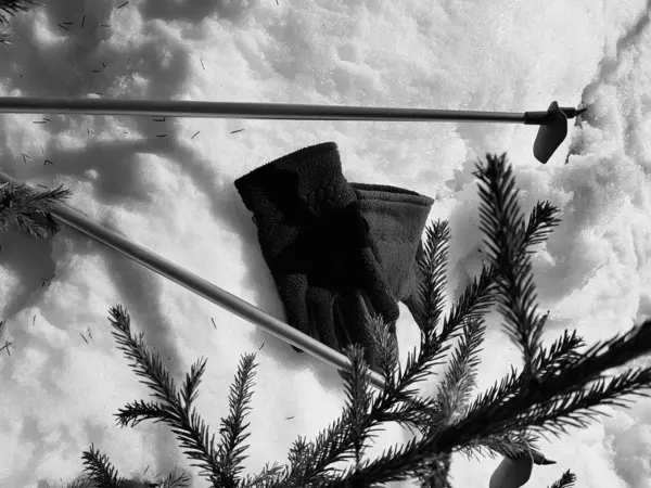 Gants, skis et bâtons de ski dans la neige sous l'arbre en hiver ou au printemps — Photo