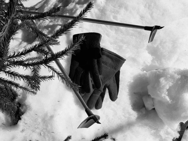 Guantes de esquí, esquís y bastones de esquí en la nieve bajo el árbol en invierno o primavera —  Fotos de Stock