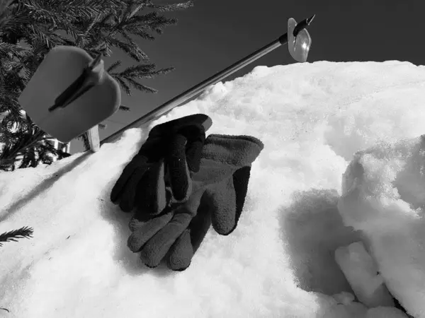 Rękawice narciarskie, narty i kijki narciarskie na śniegu pod drzewem zimą lub wiosną — Zdjęcie stockowe