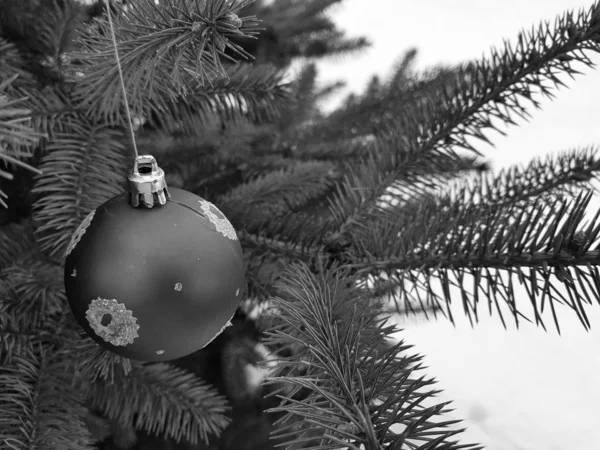 Giocattolo di albero di Natale su un ramo nell'inverno su uno sfondo di neve — Foto Stock