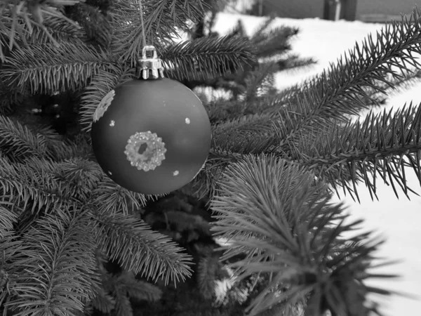Brinquedo de árvore de Natal em um ramo no inverno em um contexto de neve — Fotografia de Stock