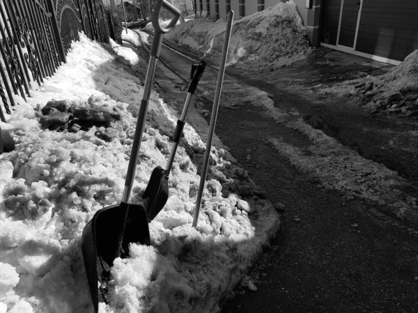 Snow shovel and ice ax in the snow against the background of a tile and fence in spring or winter — Stock Photo, Image