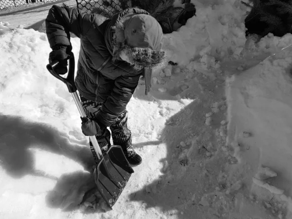 Snöskyffel i händerna-barnet renar snön på vintern eller våren — Stockfoto