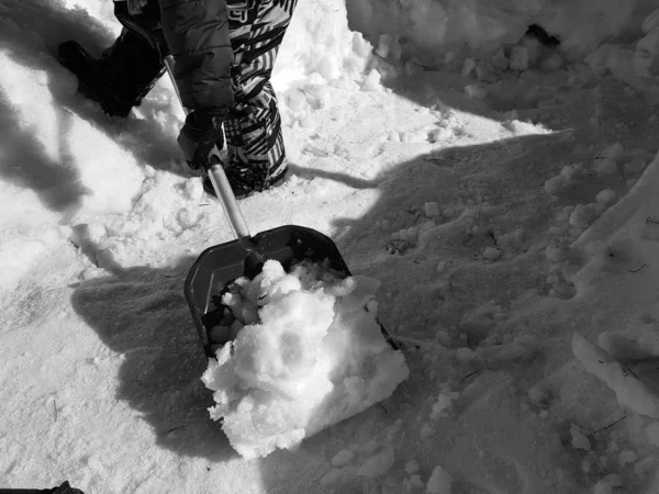 Pala de nieve en las manos: el niño limpia la nieve en invierno o primavera —  Fotos de Stock