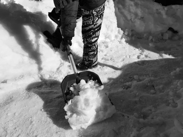 Snöskyffel i händerna-barnet renar snön på vintern eller våren — Stockfoto
