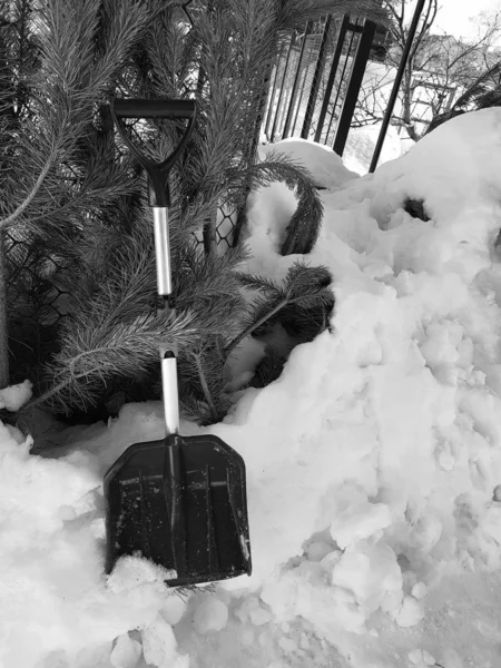 Une pelle à neige coûte environ une montagne de neige et un arbre de Noël en hiver ou au printemps — Photo