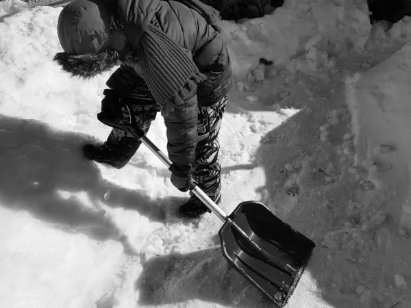 Snow shovel in the hands - the child cleans the snow in winter or spring — Stock Photo, Image