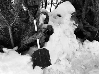 Bir kar kürek kar bir dağ ve kış veya ilkbahar bir Noel ağacı hakkında maliyetleri