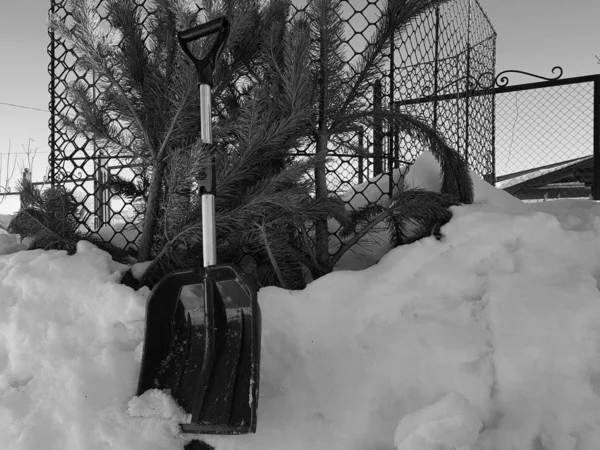 Uma pá de neve custa cerca de uma montanha de neve e uma árvore de Natal no inverno ou na primavera — Fotografia de Stock