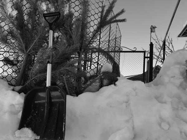 Una pala de nieve cuesta alrededor de una montaña de nieve y un árbol de Navidad en invierno o primavera — Foto de Stock