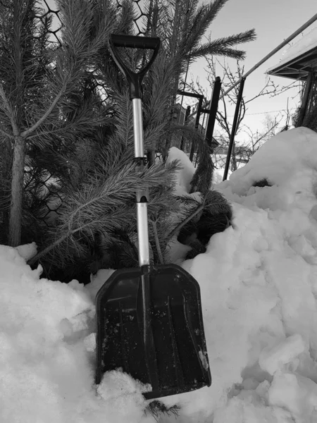 A snow shovel costs about a mountain of snow and a Christmas tree in winter or spring — Stock Photo, Image