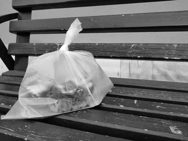 Package with cake on a bench in the winter or spring on the background of snow