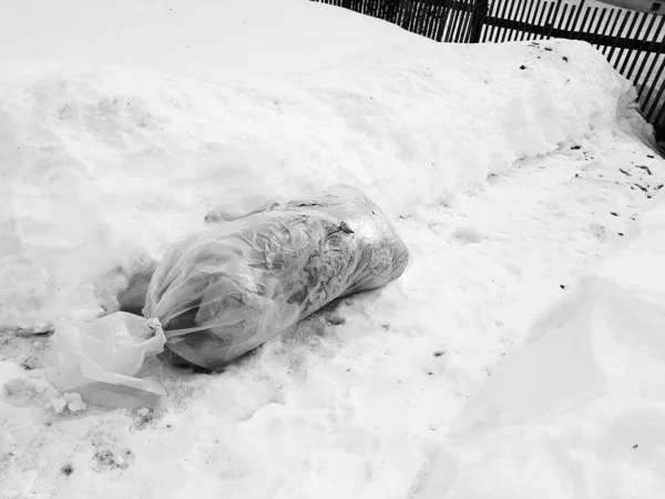 Velký balík odpadků leží přímo na cestě na pozadí sněhu v zimě. — Stock fotografie