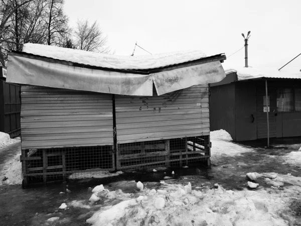 Śnieg złamał dach sklepu lub stoisko w zimie lub wiosną — Zdjęcie stockowe