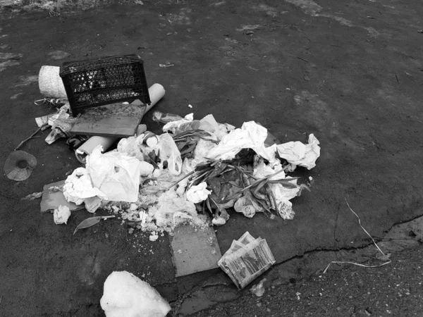 Çöp - dağınık çiçekler, paketler, kar ve kış veya ilkbaharda asfalt kutuları — Stok fotoğraf