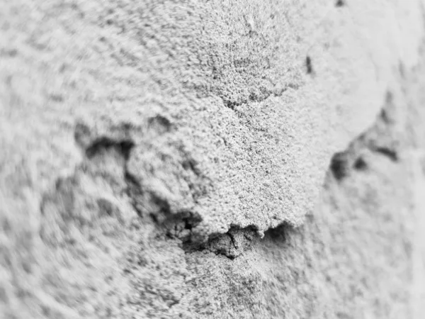 텍스트에 대한 아름다운 그라데이션 배경 배너 - 균열 석고 또는 콘크리트 벽의 독특하고 아름다운 질감. — 스톡 사진