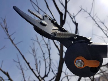 Gökyüzüne karşı ağaçları budamak için gergi ve zincir ile Profesyonel pruner