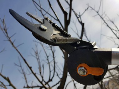 Gökyüzüne karşı ağaçları budamak için gergi ve zincir ile Profesyonel pruner