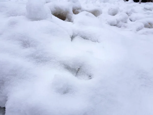 Bella bandiera di sfondo gradiente per il testo - texture di neve irregolare — Foto Stock