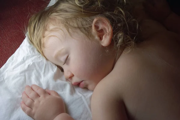 Retrato Masculino Infantil Dormido —  Fotos de Stock