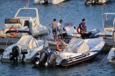 İtalya, Sicilya, Akdeniz, Marina di Ragusa; 25 Ağustos 2018, köpekler ve motorlu tekneler limanda - yazı işleri olan insanlar