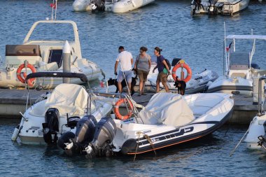 İtalya, Sicilya, Akdeniz, Marina di Ragusa; 25 Ağustos 2018, köpekler ve motorlu tekneler limanda - yazı işleri olan insanlar