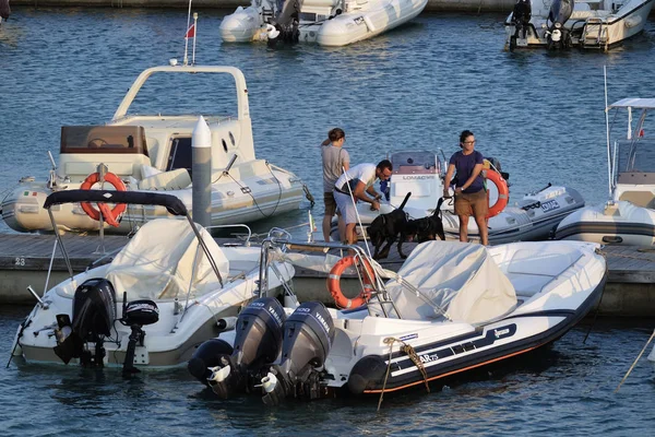 Italy Sicily Mediterranean Sea Marina Ragusa August 2018 People Dogs — Stock Photo, Image