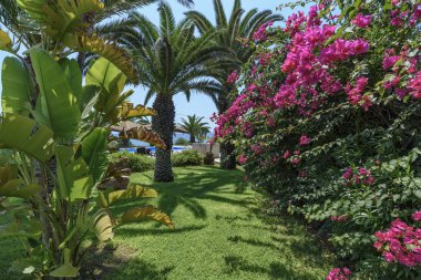 İtalya, Sicilya, Sampieri (Ragusa eyaletinde), kırsal, taş ev bahçe ve yüzme havuzu