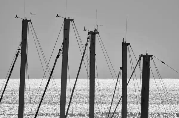 Italy Siciliy Mediterranean Sea Marina Ragusa Sailing Boat Masts Port — Stock Photo, Image