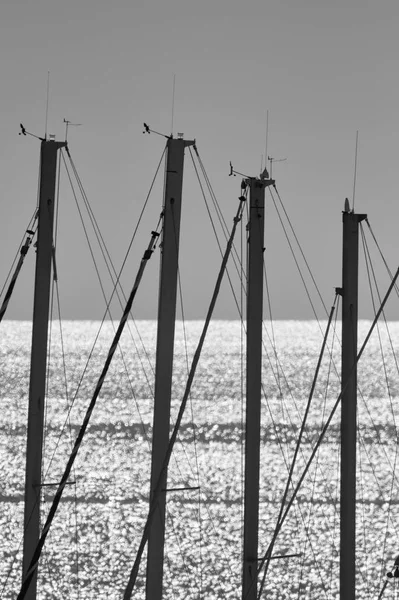 Italy Siciliy Mediterranean Sea Marina Ragusa Sailing Boat Masts Port — Stock Photo, Image