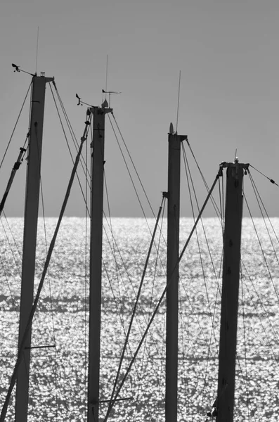 İtalya, Siciliy, Akdeniz deniz, Marina di Ragusa, Yelkenli tekne direkleri Port