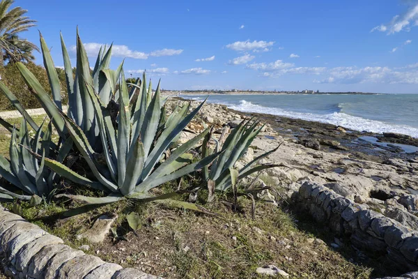 Talya Sicilya Marina Modica Ragusa Eyaletinde Akdeniz Sicilya Doğu Güney — Stok fotoğraf