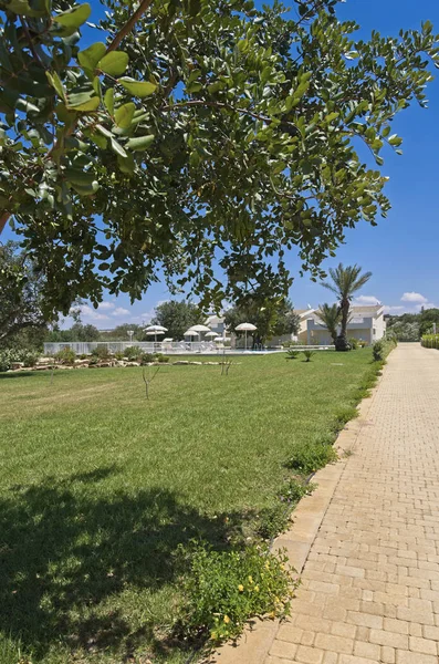 Italia Sicilia Santacroce Camerina Provincia Ragusa Mediul Rural Casa Gradina — Fotografie, imagine de stoc