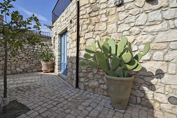 Italy Sicily Scicli Ragusa Province Prickly Pears Vase Front Tipical — Stock Photo, Image