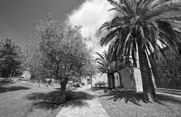 Italy Sicily Ragusa Province Countryside May 2018 Elegant Private Farm — Stock Photo, Image