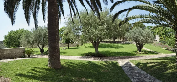 意大利 西西里岛 拉古萨省 2018年5月11日 优雅的私人农舍 后院花园的景色 — 图库照片
