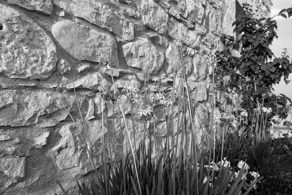 イタリア シチリア島 ラグーザ県田舎 エレガントな民家 花および石の外壁 — ストック写真