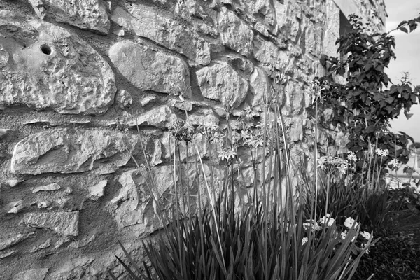 Italien Sicilien Provinsen Ragusa Landskapet Eleganta Privata Hus Blommor Och — Stockfoto