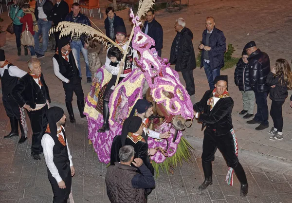 Italia Sicilia Scicli Provincia Ragusa Marzo 2014 Personas Caballos Adornados —  Fotos de Stock