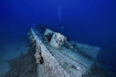 İtalya, Calabria, Cannitello (Reggio Calabria Province), U.W. fotoğraf, derin Batık dalış - Film tarası