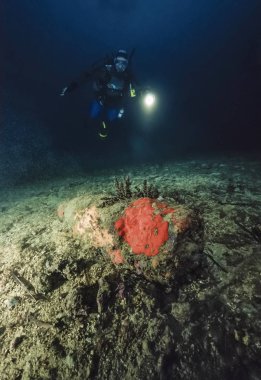 Karadağ, Adriyatik Denizi, UW fotoğraf, batık dalış, patlamamış Dünya Savaşı bomba - film tarama