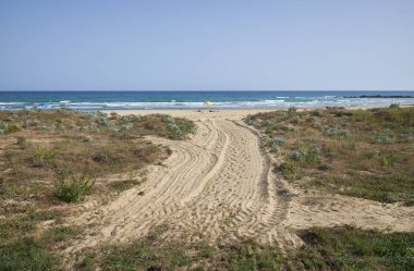 İtalya, Sicilya, Akdeniz, Güney kumlu kıyı şeridi, Playa Grande (Ragusa eyaleti), sahilde insanlar
